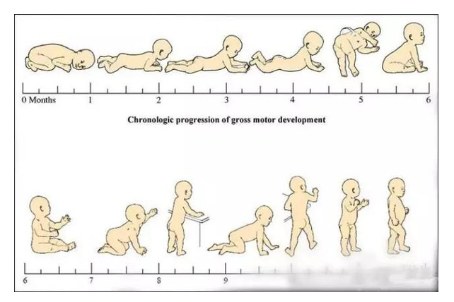 婴幼儿运动能力的发展轨迹