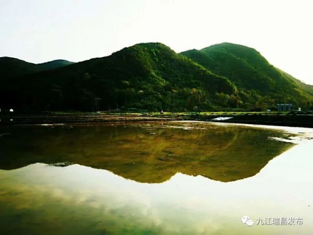 瑞昌这些地方美爆啦|瑞昌云|茶园|野趣|瀑布|张家铺村|青山林场|融