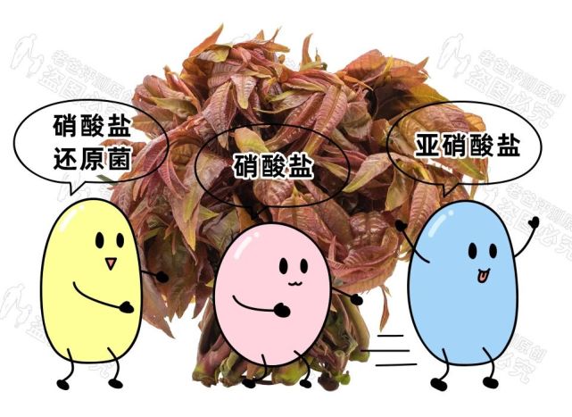 二,香椿的安全吃法 说到硝酸盐,就不得不提一下腌制的香椿.