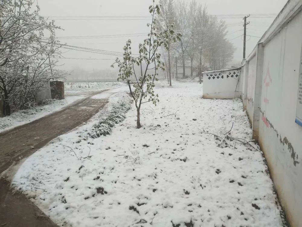 河南多个景区飘雪-河南多景区飘起鹅毛大雪