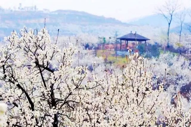 畅游樱桃谷 花满鲸鱼沟