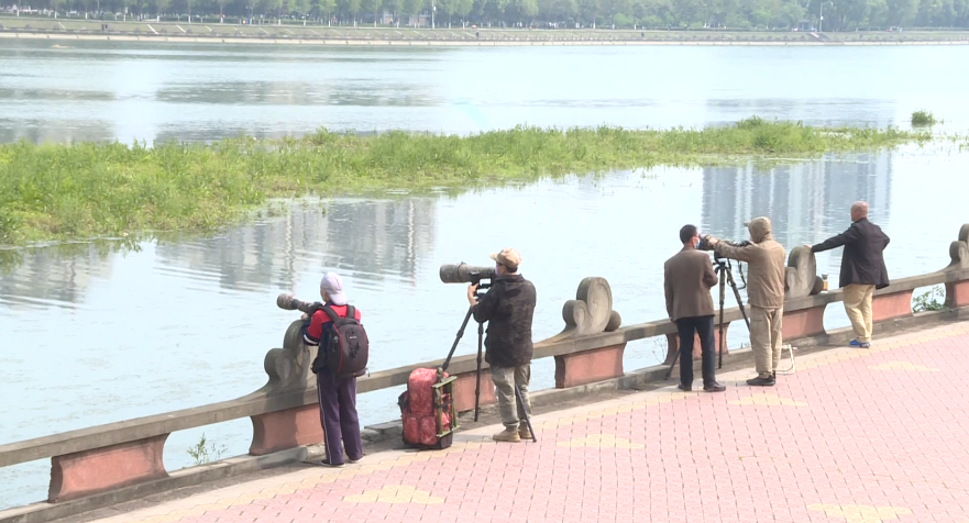 德阳旌湖上榜四川十大观鸟胜地