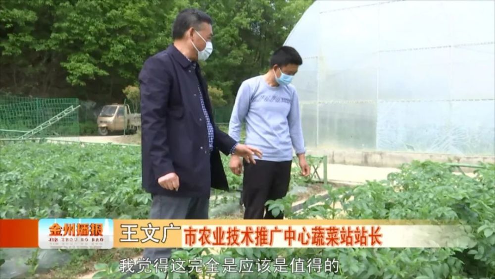 王文广:不下村不深入田间地头,怎么做一个合格的农技人!