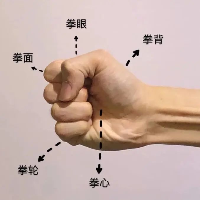 武术的基本手型 1.拳 四指并拢卷握,拇指紧扣食指和中指的第二指节.