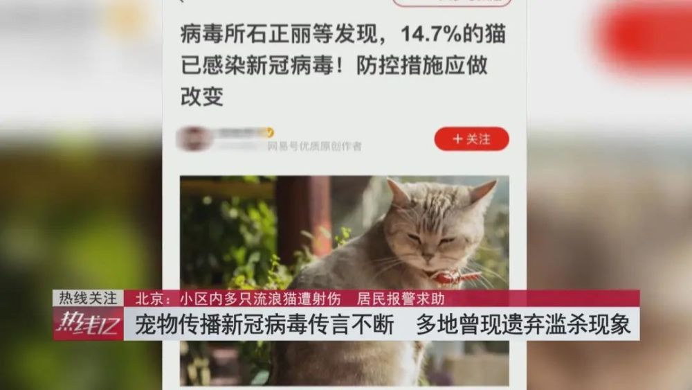 近日,有媒体转发关于"猫新型冠状病毒抗体血清学调查"的预印版论文