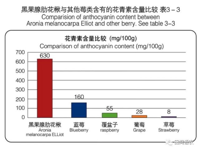 花青素存在于部分水果和蔬菜中的神奇营养成分