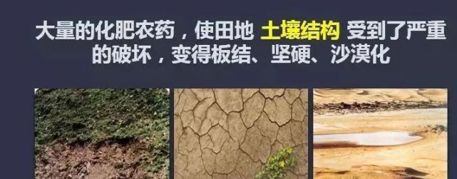 11,增加土壤重金属和有毒元素.产生污染的重金属主要有zn,cu,co和cr.