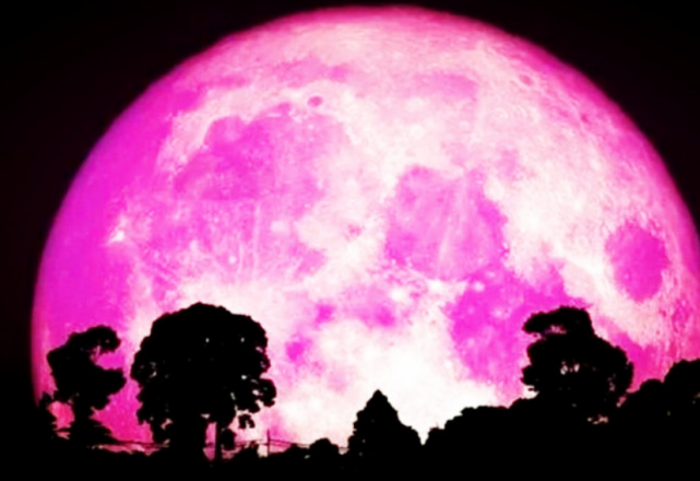 许多喜欢"夜观天象"的朋友们应该已经早早的发觉,近日月亮的颜色变成