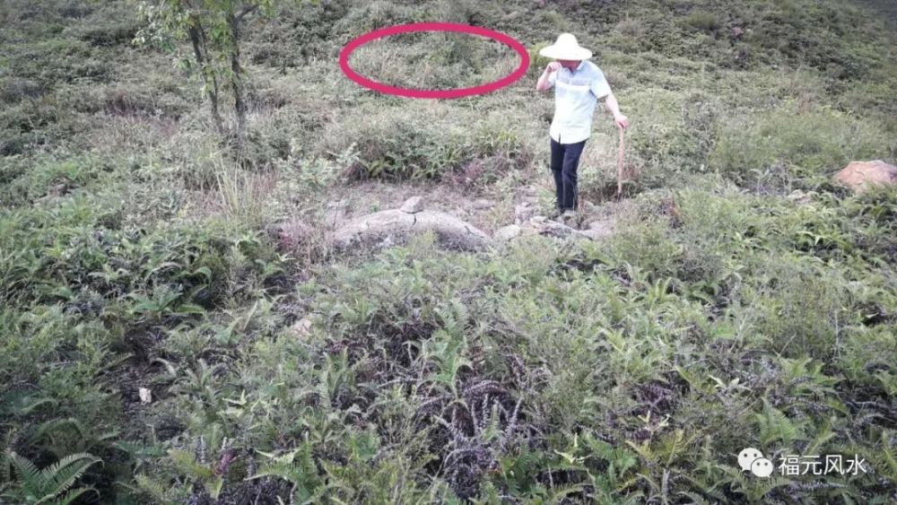 廖氏祖地之倒骑龙穴_腾讯新闻