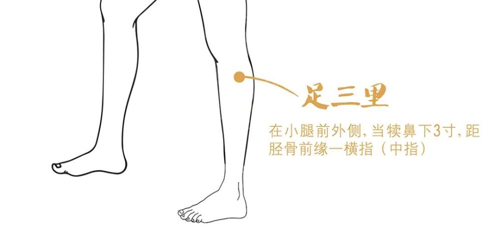 9,足三里