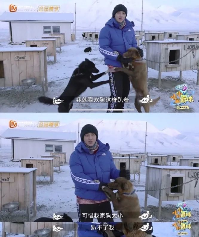 糖糖:当着小三的面,你竟然diss我太小 惨案三:把狗当作生活工具.