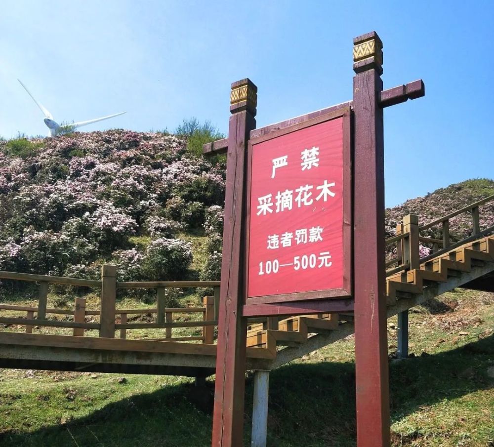 关于禁止在景区采摘花木,携带火种进行野炊烧烤的温馨提示