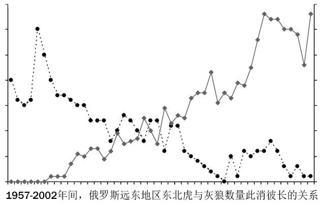 全新世期间,亚洲的狮虎存在同域分布,为何却能和平相处?