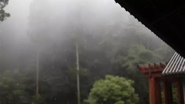 天在下雨,我在喝茶
