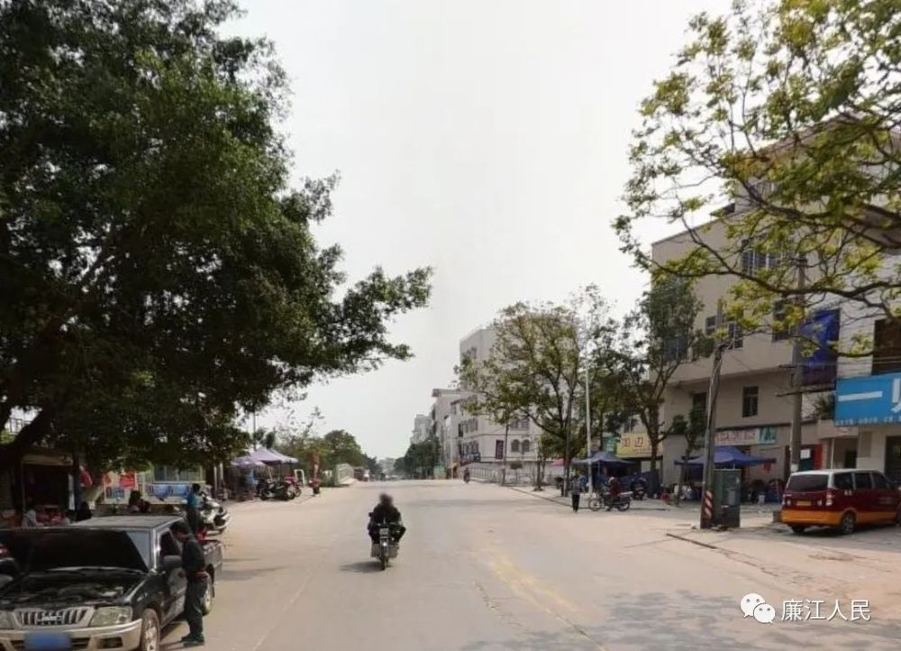 廉江市东环路(城南客运站路段),中山五路,中环一路,石城大道,廉良路