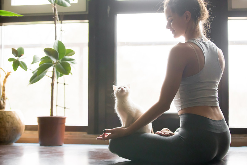关于瑜伽那些事，你知道多少？“热身-运动-放松”模式不能乱