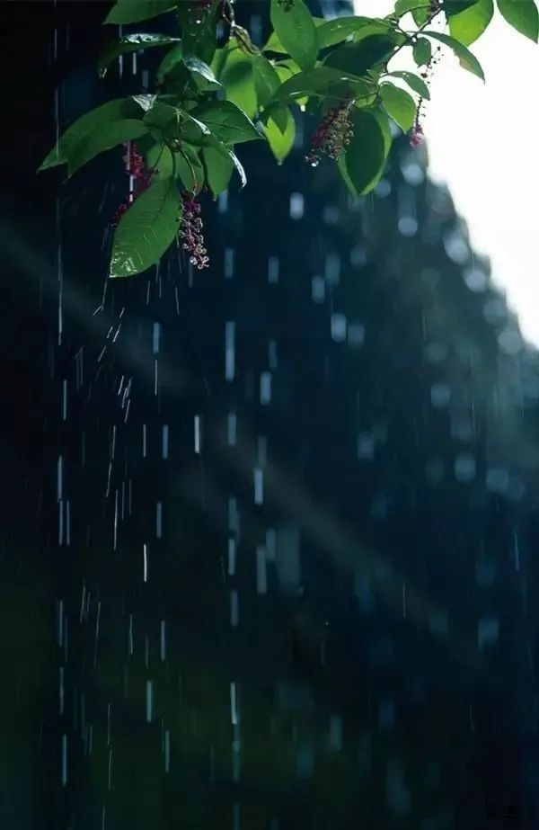 谁念红楼听雨客,一灯如豆梦夔巫. 片云飘画阁,一雨失鼋头.