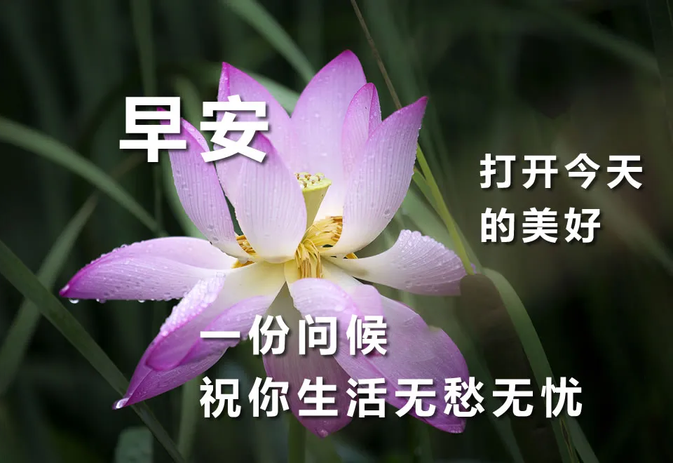 清晨祝福朋友早上好的精美句子 最甜蜜的早上好问候祝福语