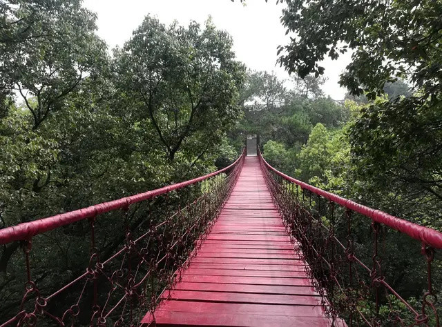 山城重庆周末消遣的好地方,歌乐山森林公园