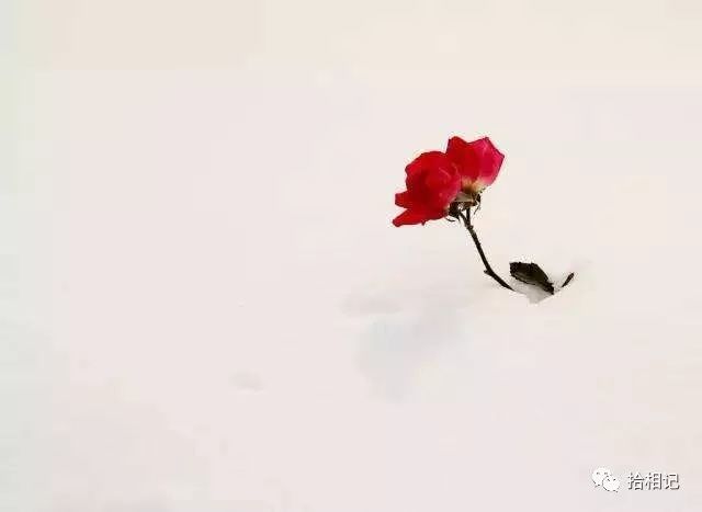 干货分享:深度分析人的贪婪之心