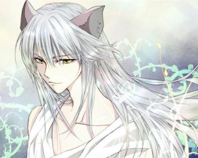 【幽游白书】中的白狐藏马