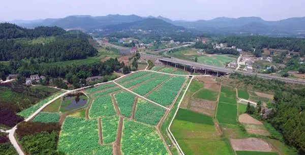 南充市营山县丰产乡(并入已命名单位营山县回龙镇)南充市阆中市凉水镇