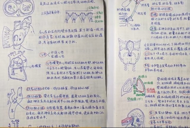 医学生笔记工整如教科书,被网友称"灵魂画手!学医从画画开始