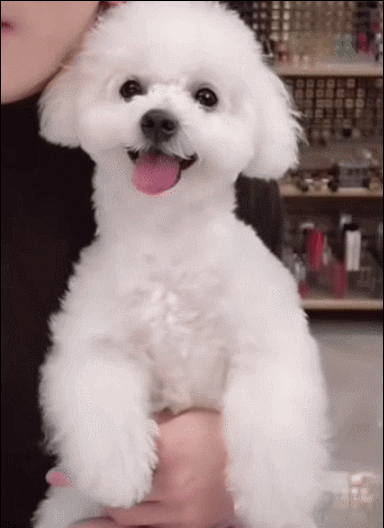 访谈中李佳琦坦言想做一些更有意义的事情,比如他现在已经着手将