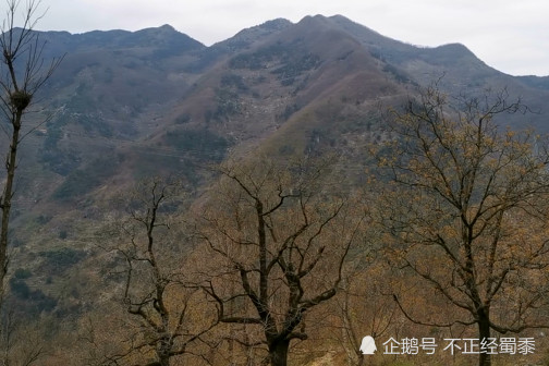 商洛有多少人口_去了商洛才知道,这才是我要的夏天(3)