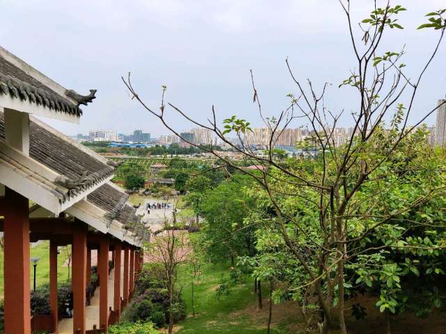 南宁江南公园,亲子游玩的好地方,风景真不错