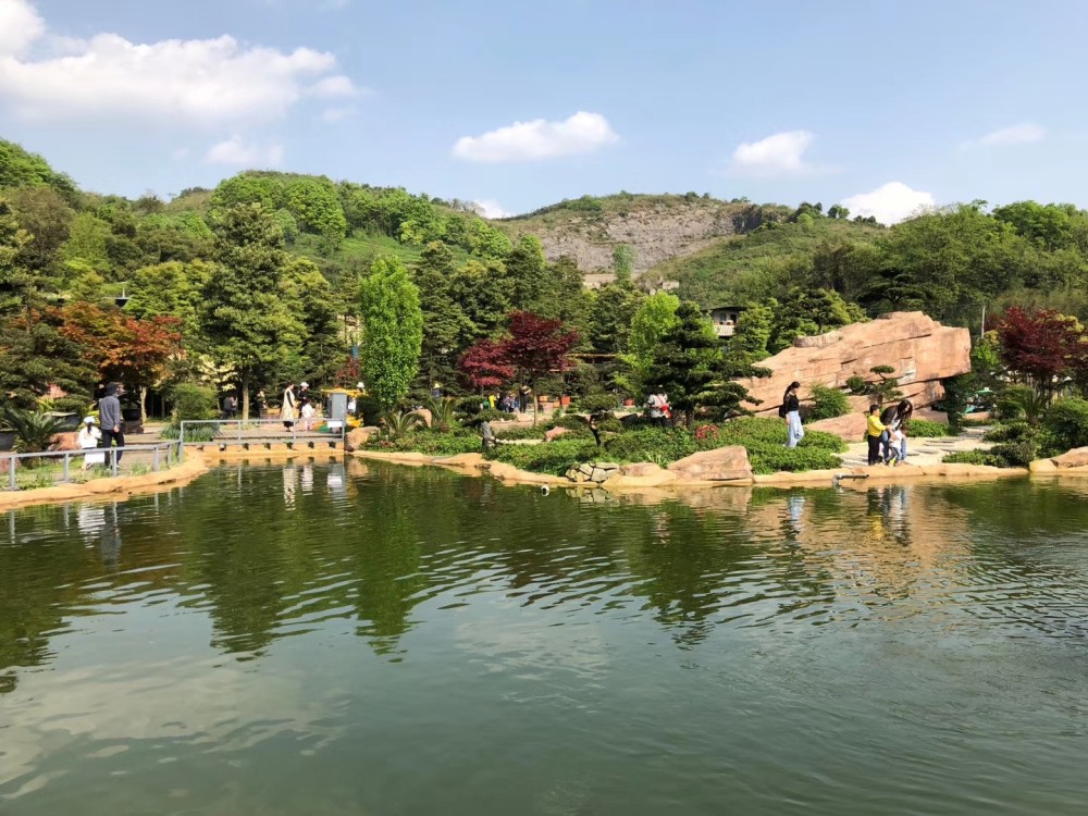 重庆.国际慢城太寺垭森林公园周末游