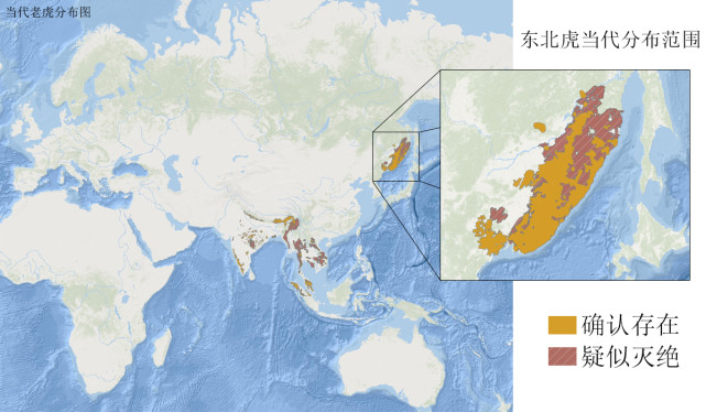 老虎当代分布范围