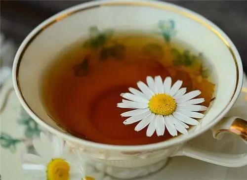 夏天喝茶大有讲究！茶，你喝对了吗？