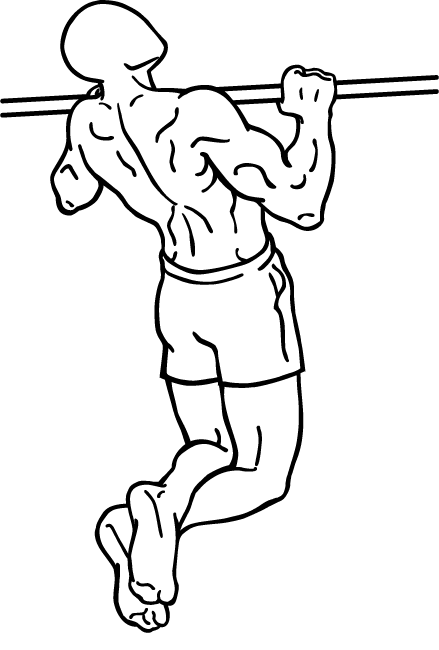 四种引体向上动作,训练你的上半身肌群