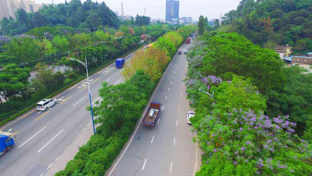 东莞市GDP构成_东莞市地图(2)