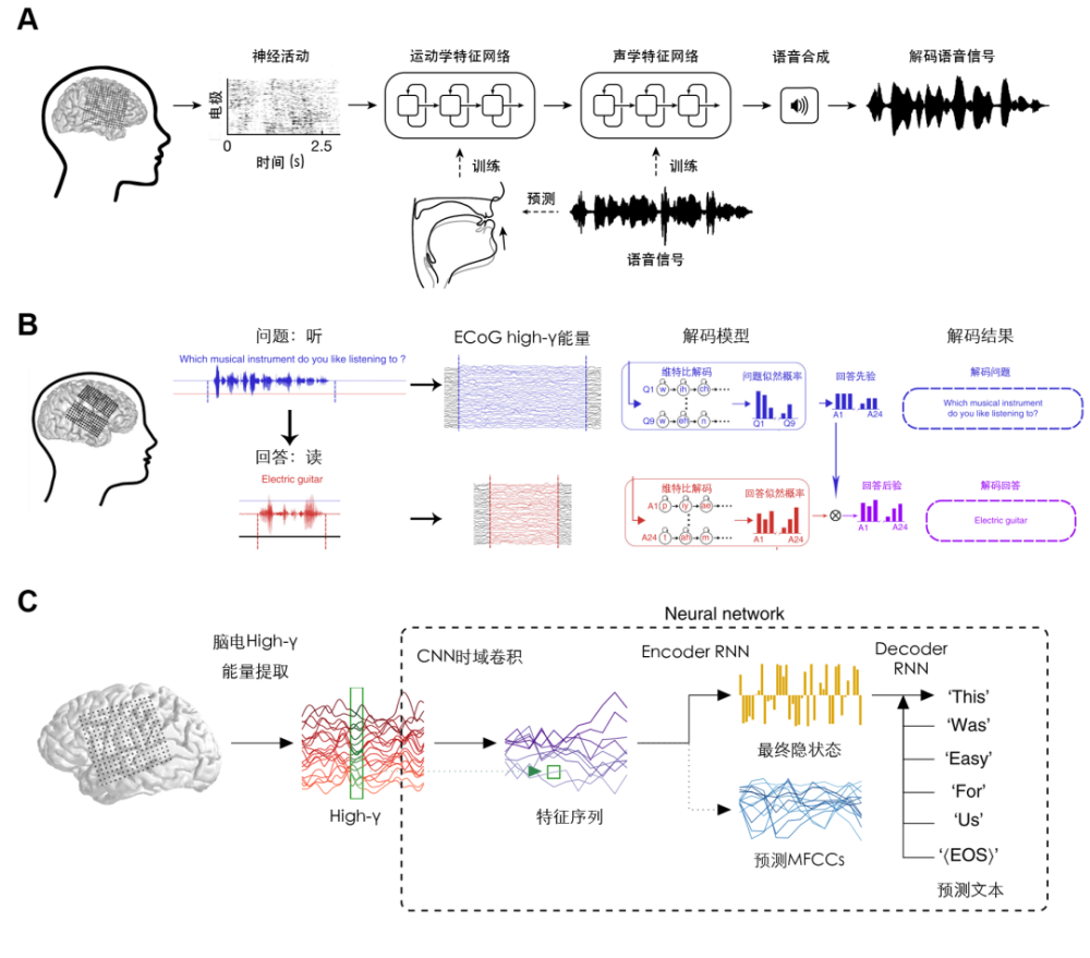 edward教授十年科研,会说话的魔法帽如何把脑电信号翻译成语音