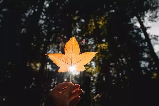 给正在迷茫的你,给感到孤独的你!