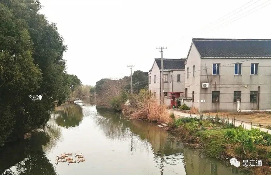 即将逝去的北厍半爿港——写在沪苏浙高铁苏州南站开建前夕