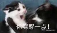 18岁出道即巅峰，惨遭无限期雪藏，37岁又凭借绝美素颜杀回来了！