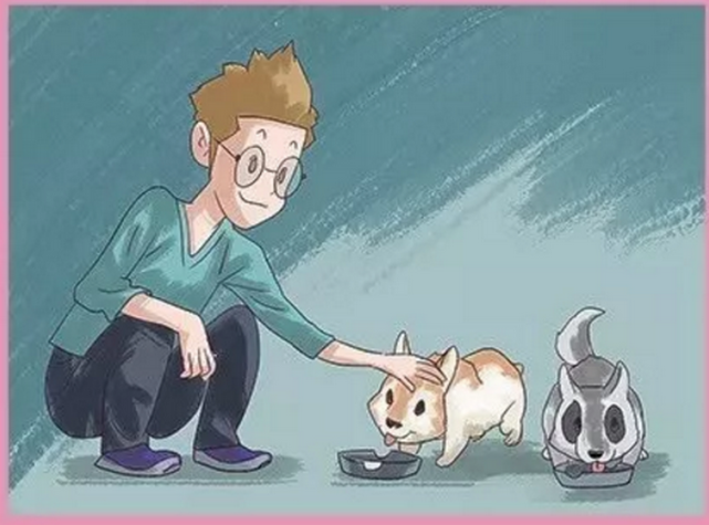 搞笑疯人:小男孩的狗狗走丢,被好心人送回来,可是狗狗