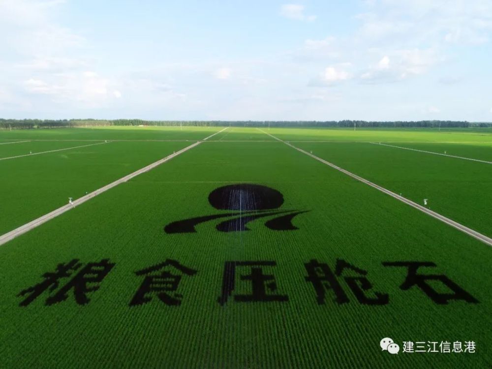 黑龙江旅游新胜地 大农业观光看建三江七星农场
