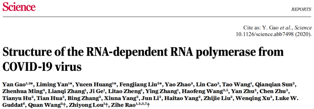 nejm发布首个瑞德西韦临床报告饶子和团队science发文提供结构支持