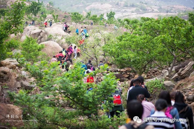 2020年4月12费县大青山徒步登山一日游