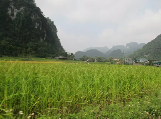 开阔的田坝.