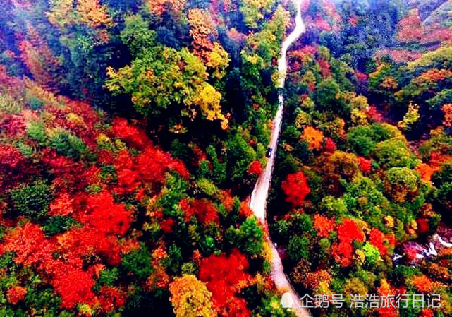 巴中光雾山景区红叶