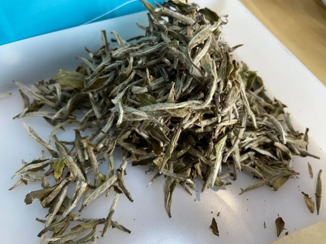 叶底干硬; 2015年华茶一号 干茶色泽偏暗,萎凋不足 萎凋不足,茶汤青麻