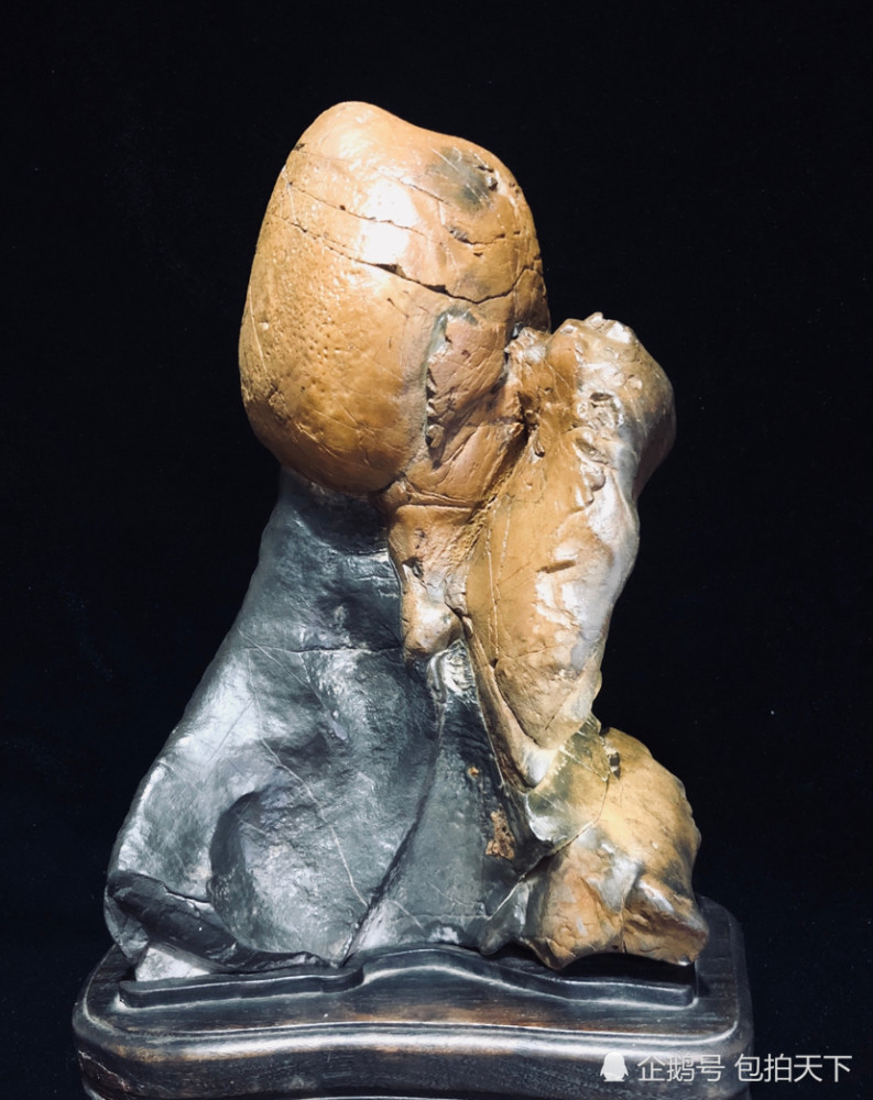 奇石欣赏:小奇石也有精品 妙趣横生 让人感叹大自然的