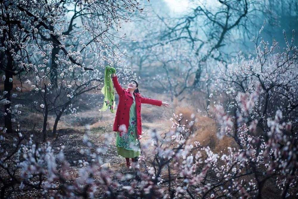 清明节小长假,正是位于梁山东麓的"十里杏花村"杏花的盛花时节.