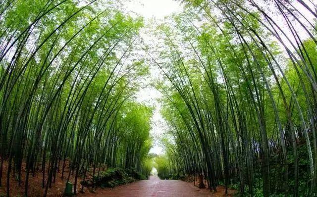 竹林长廊,农耕文化, 标志性景观瀑布为主