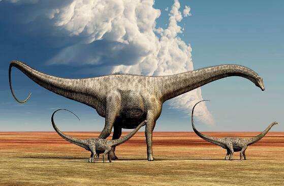 到底谁才是体型最大的恐龙?盘点那些恐龙"巨无霸"
